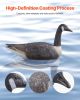 VEVOR Canada Goose Decoys, Outdoors Goose Decoy for Waterfowl Hunting, Durable Plastic Floaters with Ultra Realistic Paint, for Pool, Pond, Lake